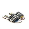 DIOR DWAY SLIDE MULTICOLOUR