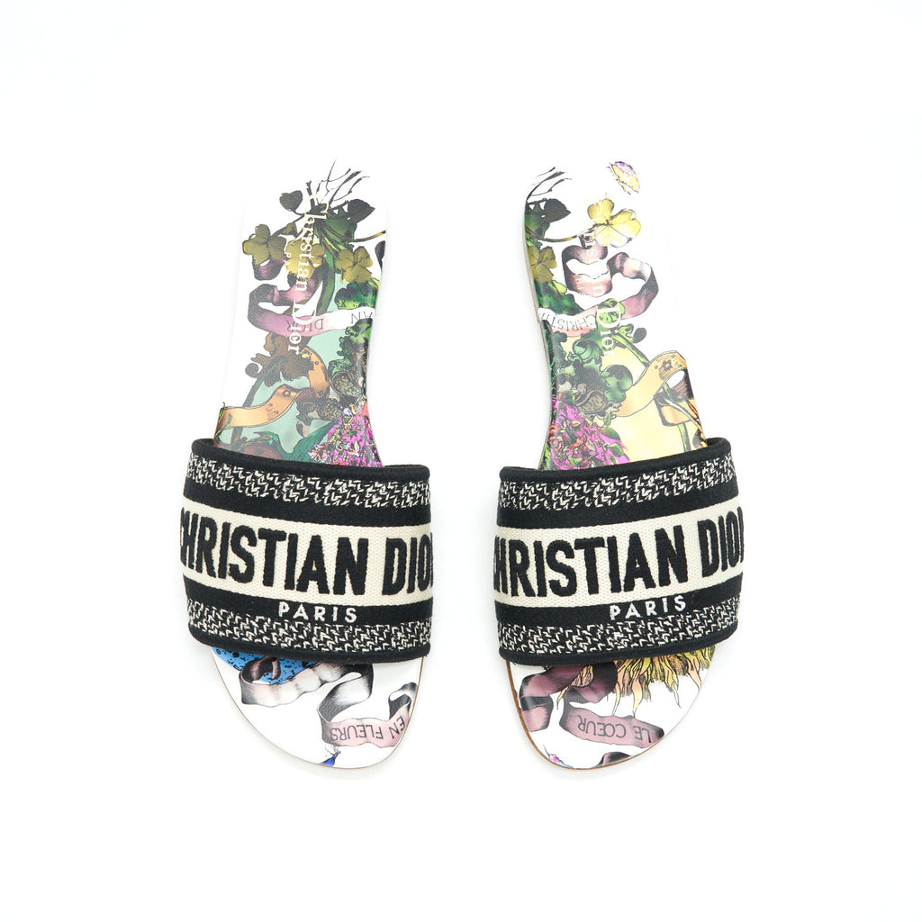 DIOR DWAY SLIDE MULTICOLOUR
